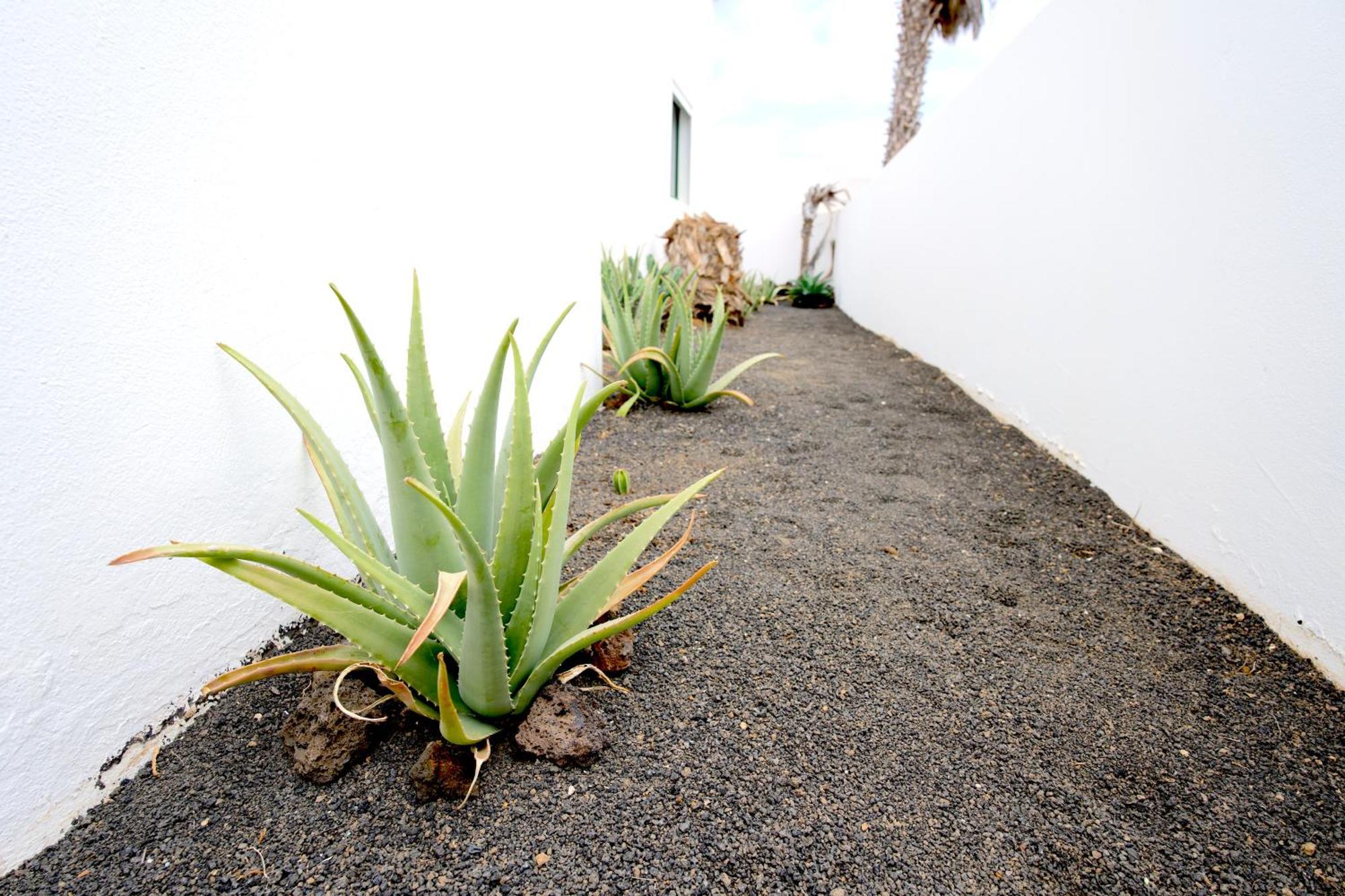 Villas Kalendra, Rofe, Lanzarote Гуатиса Экстерьер фото